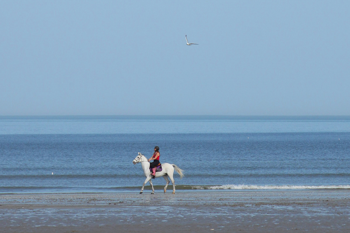 Escapade à cheval sur la plage de Deauville - Vizitoo